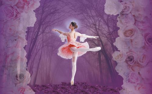 Poster for The Sleeping Beauty