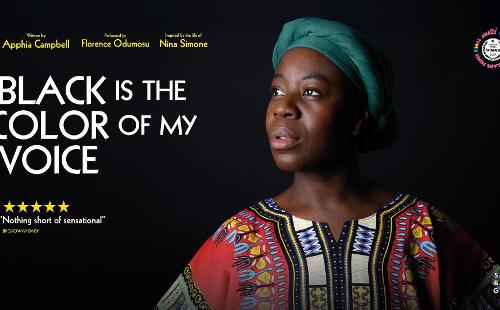 Poster for Black Is The Color Of My Voice