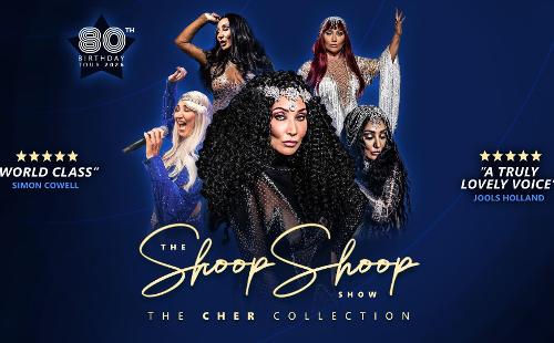 Poster for The Shoop Shoop Show - The Cher Collection