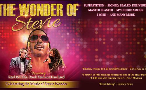 Poster for The Wonder of Stevie